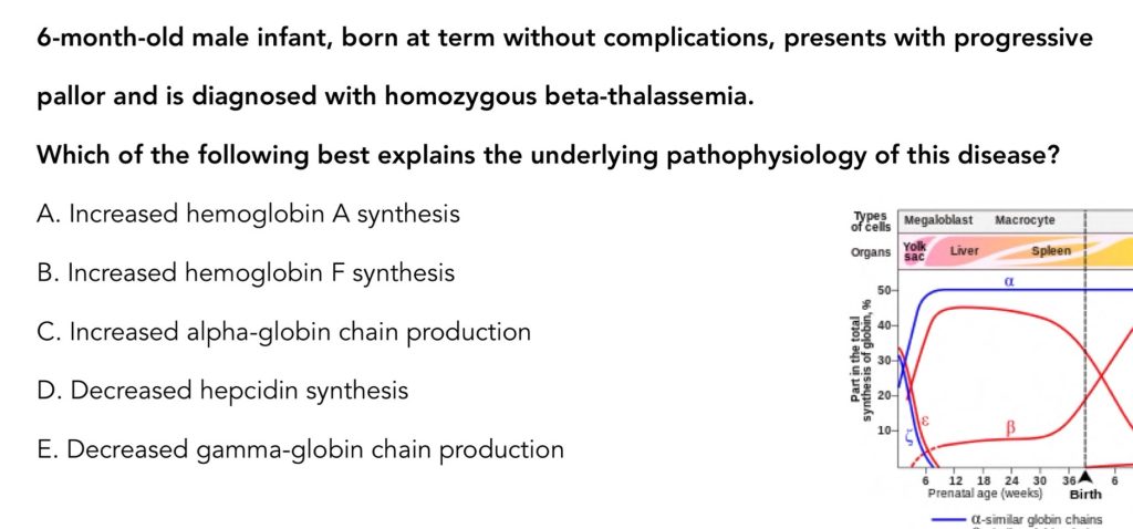 Thalassemia - NL1 Apr 2568