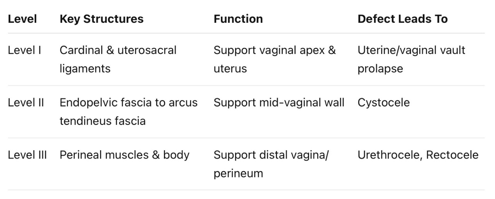 Read more about the article Vaginal Support และ Uterine Prolapse: เฉลยข้อสอบ NL1 ก.ค. 2568 + DeLancey 3 Levels