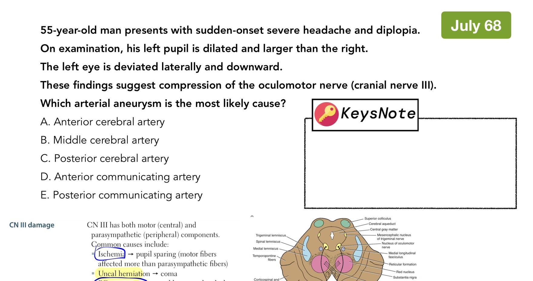 Read more about the article CN III palsy — แนวข้อสอบ NL1 กรกฎาคม 2568