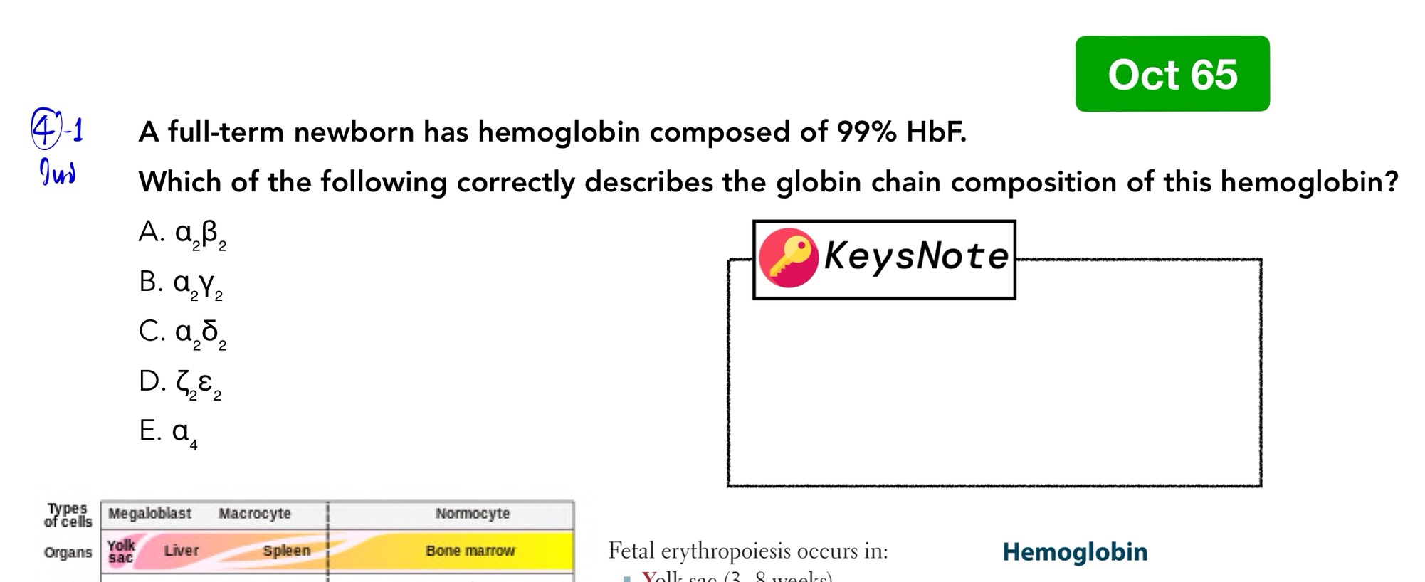 Read more about the article Hemoglobin typing: เข้าใจชนิดของฮีโมโกลบินในทารกและผู้ใหญ่ (แนวข้อสอบ NL1 ตุลาคม 2565) – TheKeyTutor