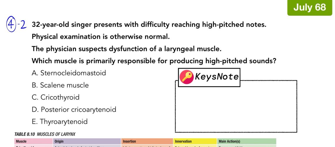 Laryngeal muscles