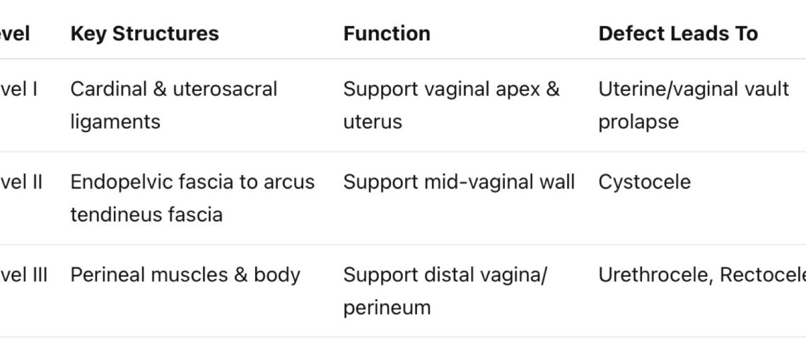 Vaginal Support - แนวข้อสอบ NL1 กรกฎาคม 2568